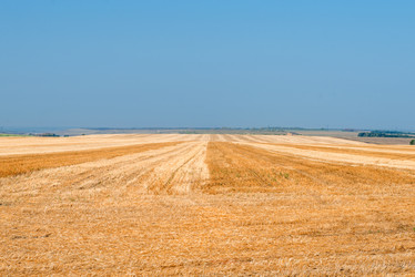 Similar image 21050789