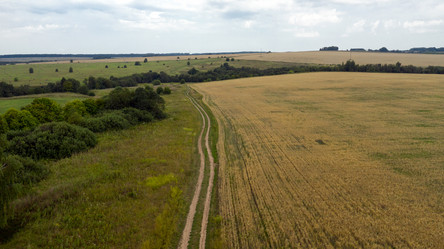 Similar image 21050728