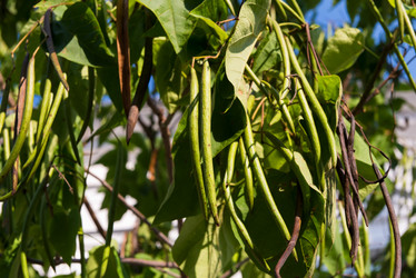 Similar image 21053616