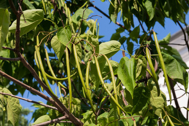 Similar image 21050796