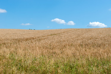 Similar image 21050803