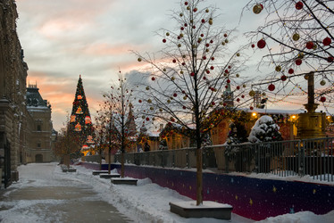 Similar image 21050831