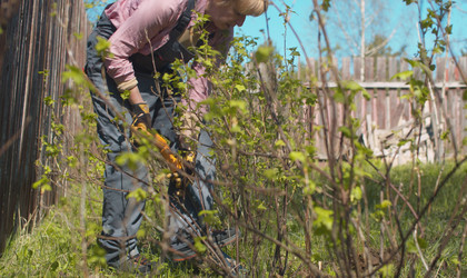 Similar image 21051827