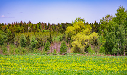 Similar image 21038762