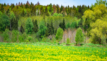 Similar image 21038763