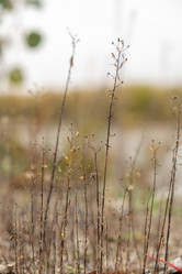 Similar image 21039499