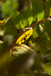 Similar image 21039500