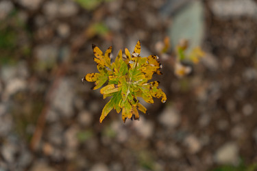 Similar image 21039501