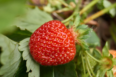 Similar image 21039648