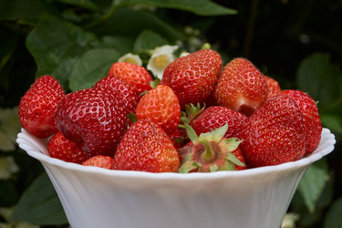 Similar image 21039649