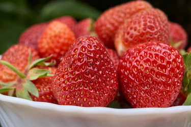 Similar image 21039650