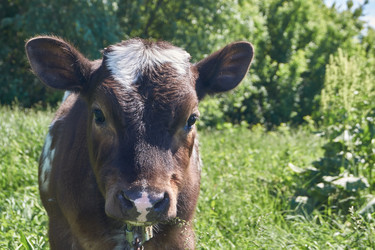 Similar image 21039653