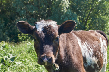 Similar image 21039655