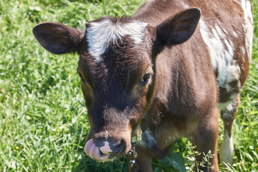 Similar image 21039656