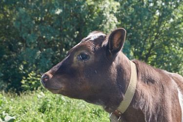 Similar image 21039657