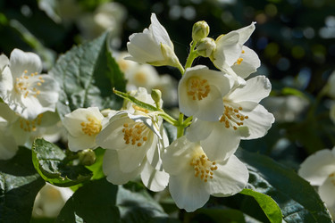 Similar image 21039661