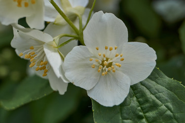 Similar image 21039662