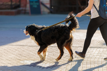 Similar image 21046455