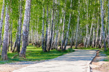 Similar image 21046467