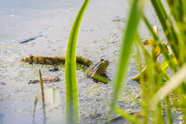 Similar image 21046477