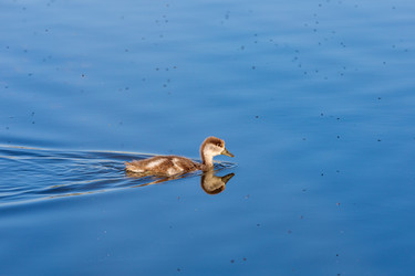 Similar image 21046485