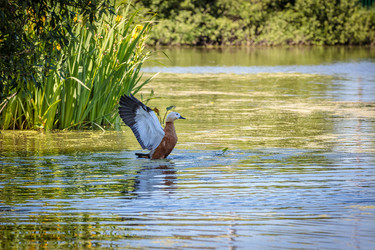 Similar image 21046500