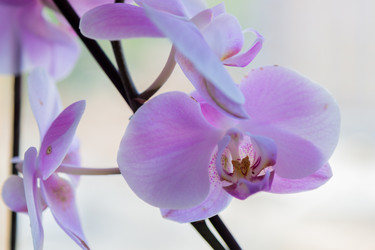 Similar image 21046514