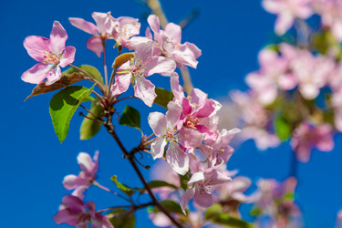 Similar image 21046516