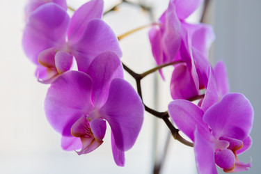 Similar image 21046948