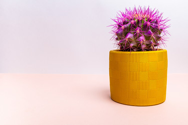 Similar image 21046985