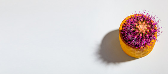 Similar image 21046987