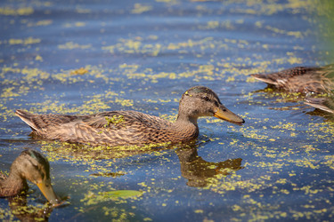 Similar image 21046996