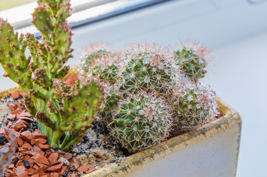 Similar image 21046997