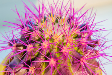 Similar image 21046998