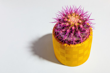 Similar image 21047006