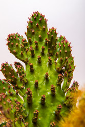 Similar image 21047008