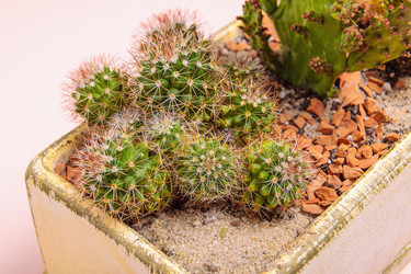 Similar image 21047009