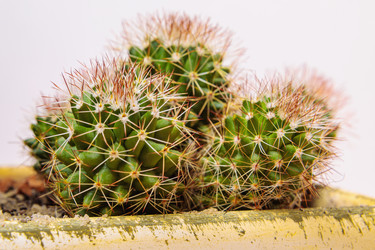 Similar image 21047010