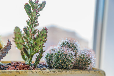 Similar image 21047017