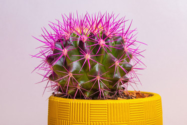 Similar image 21047020