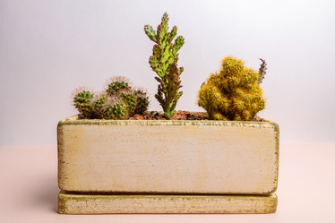 Similar image 21047022