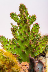 Similar image 21047023