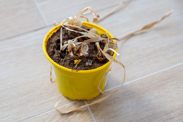 Similar image 21047034