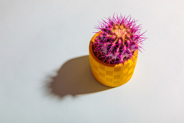 Similar image 21047041