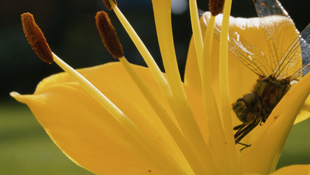 Similar image 21051853