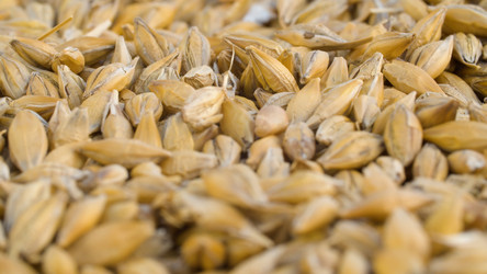 Similar image 21051742