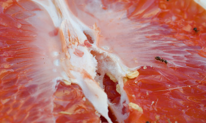 Similar image 21051744