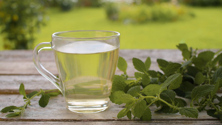 Similar image 21051756