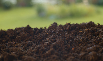 Similar image 21051862