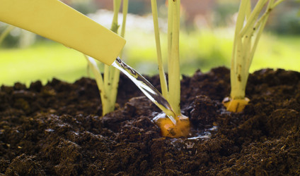 Similar image 21051866